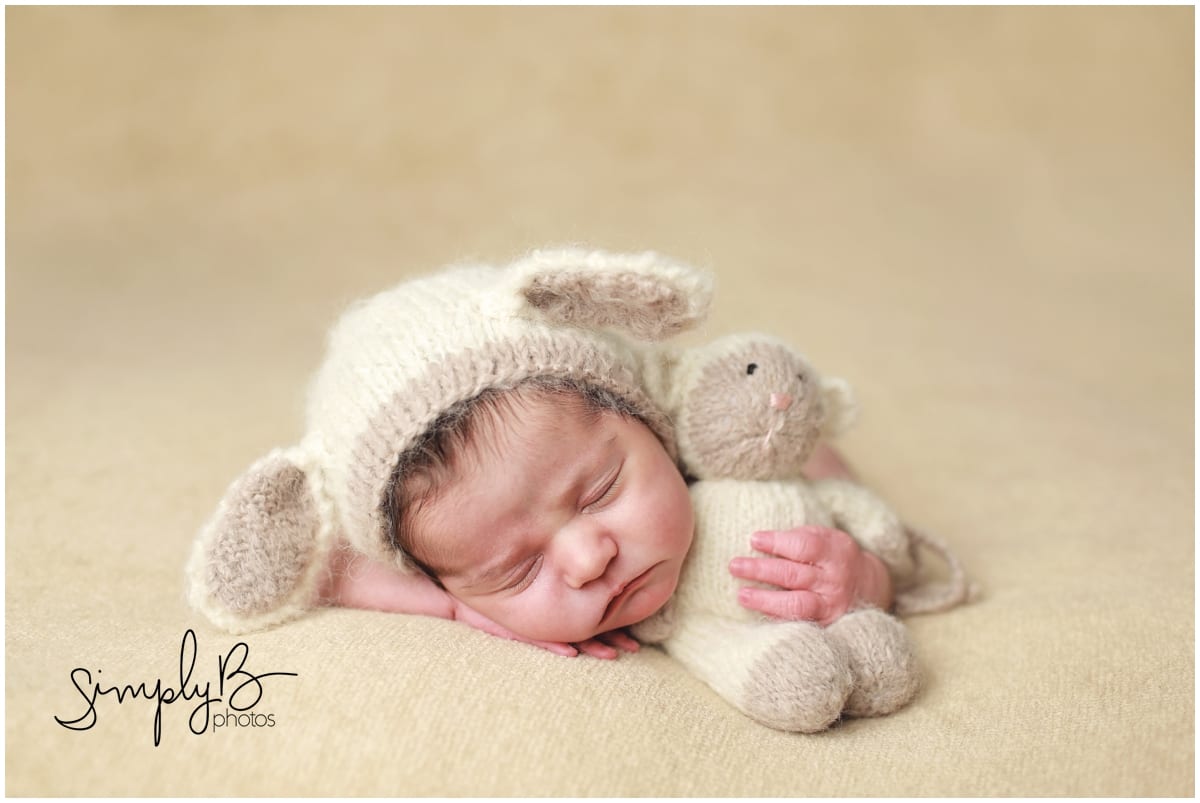 edmonton newborn photographer baby lamb