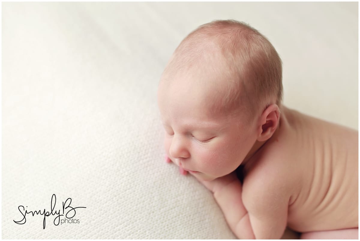 edmonton newborn portrait photographer