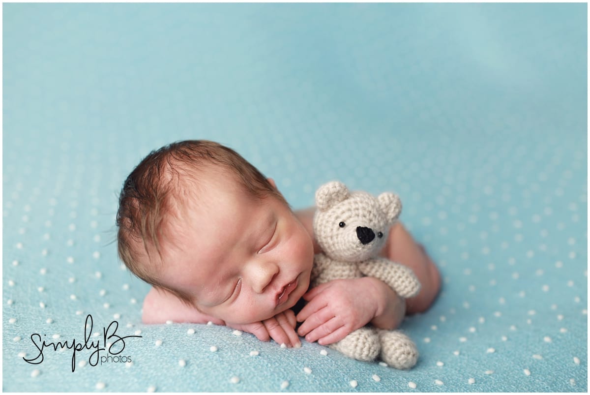 edmonton newborn photographer little teddy bear