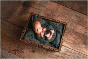 edmonton newborn photographer