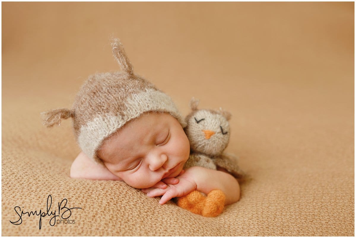 edmonton newborn photographer neutral natural baby theme owl