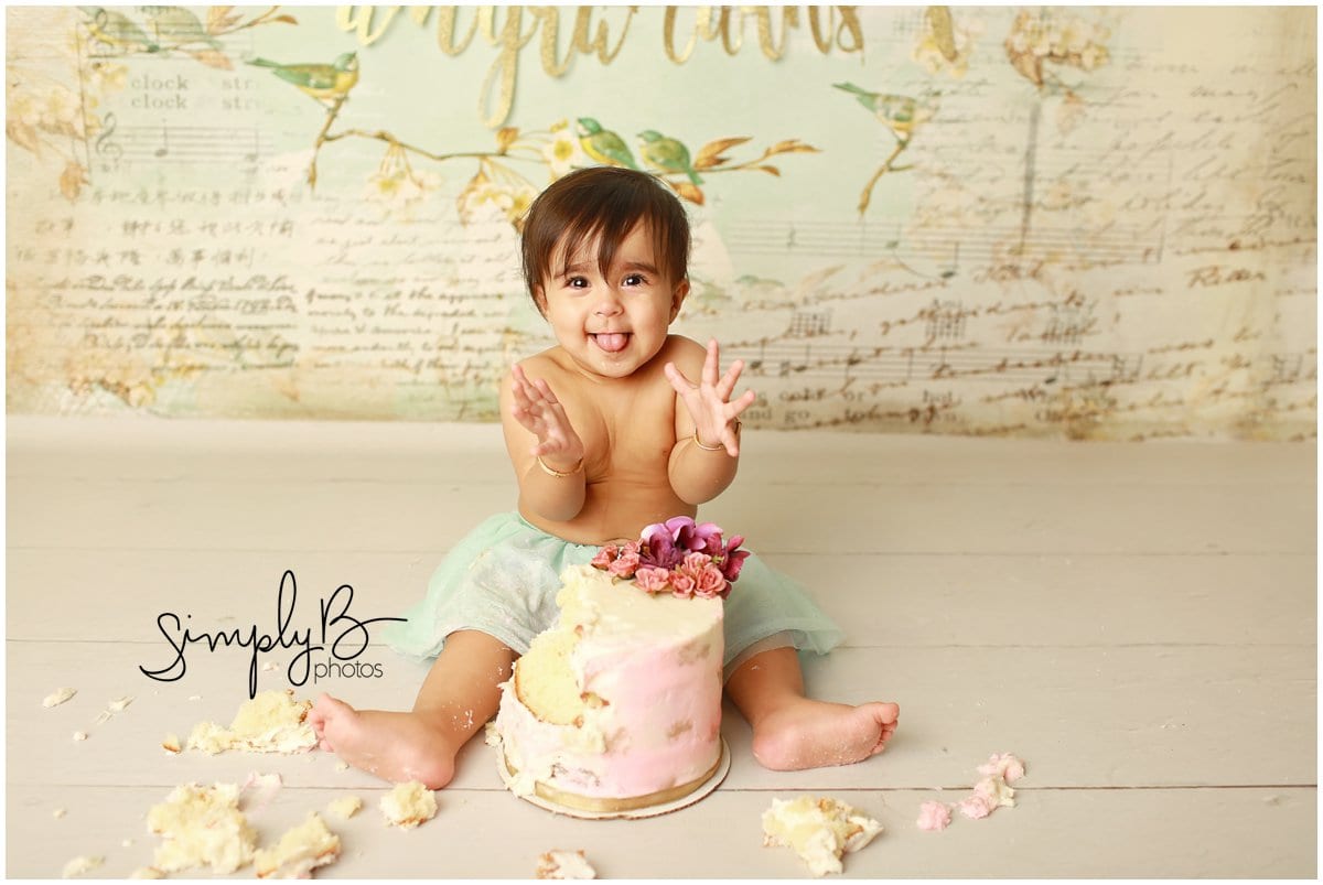 edmonton one year old baby cake smash photographer