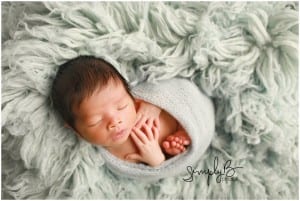 edmonton newborn photographer teddy bear theme