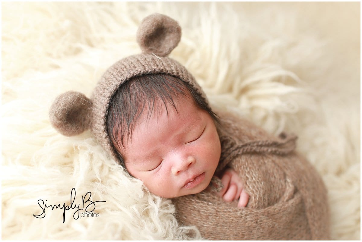 edmonton newborn photographer teddy bear theme