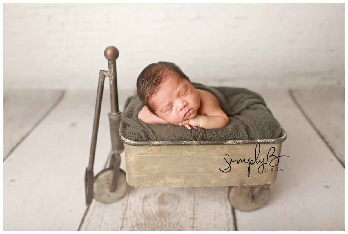 edmonton newborn photographer baby boy wagon