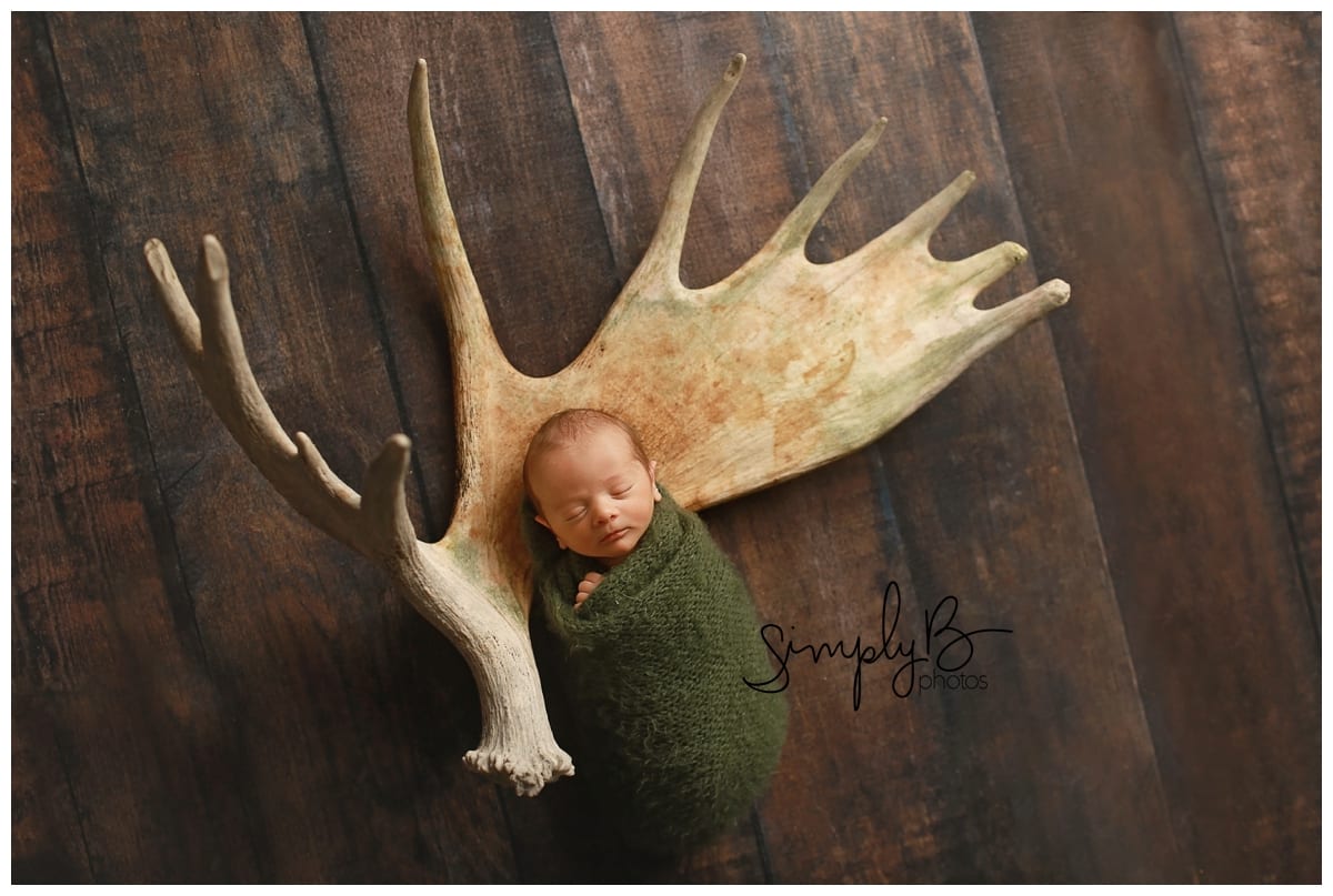 edmonton newborn photographer antlers hunting