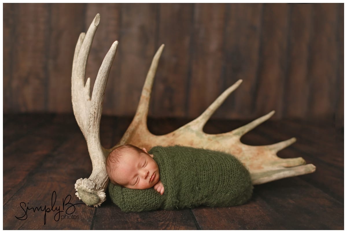 edmonton newborn photographer antlers hunting