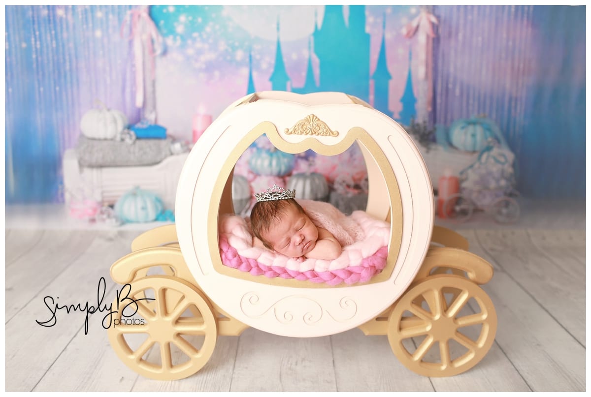 edmonton newborn photographer princess carriage