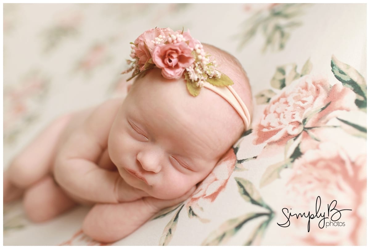 edmonton newborn photographer florals