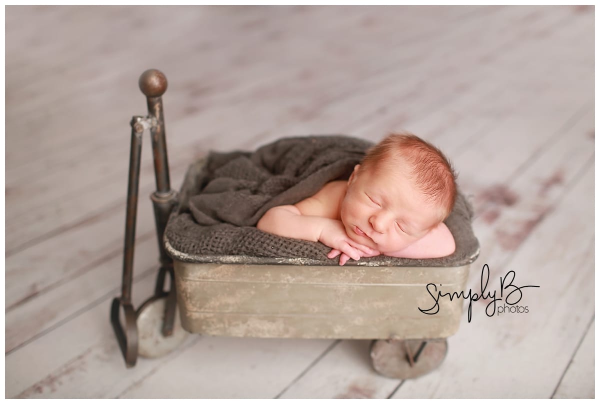 edmonton newborn photographer baby boy grey mint