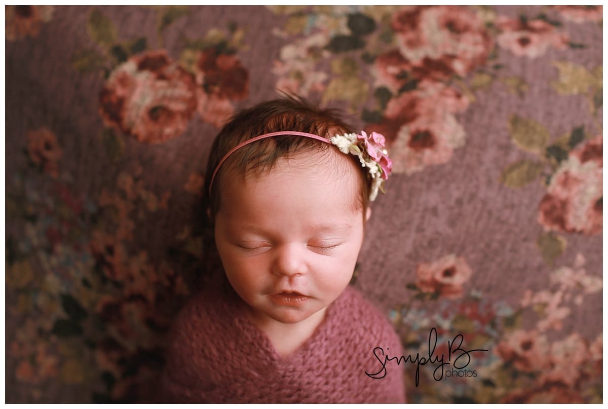 edmonton newborn photographer baby girl floral