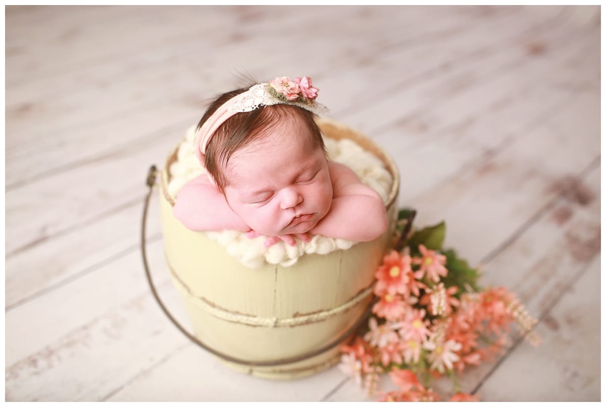 edmonton newborn photographer baby girl floral