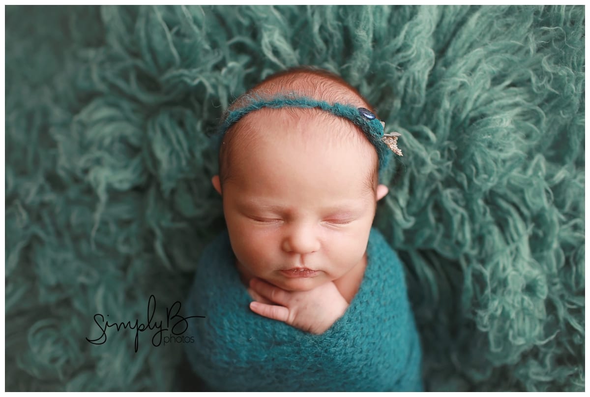 edmonton newborn photographer baby girl woods purple green