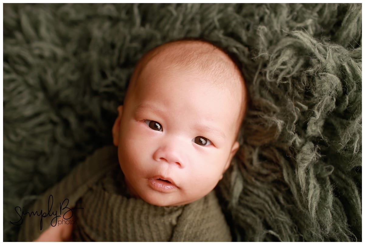 older edmonton newborn photographer 6 weeks