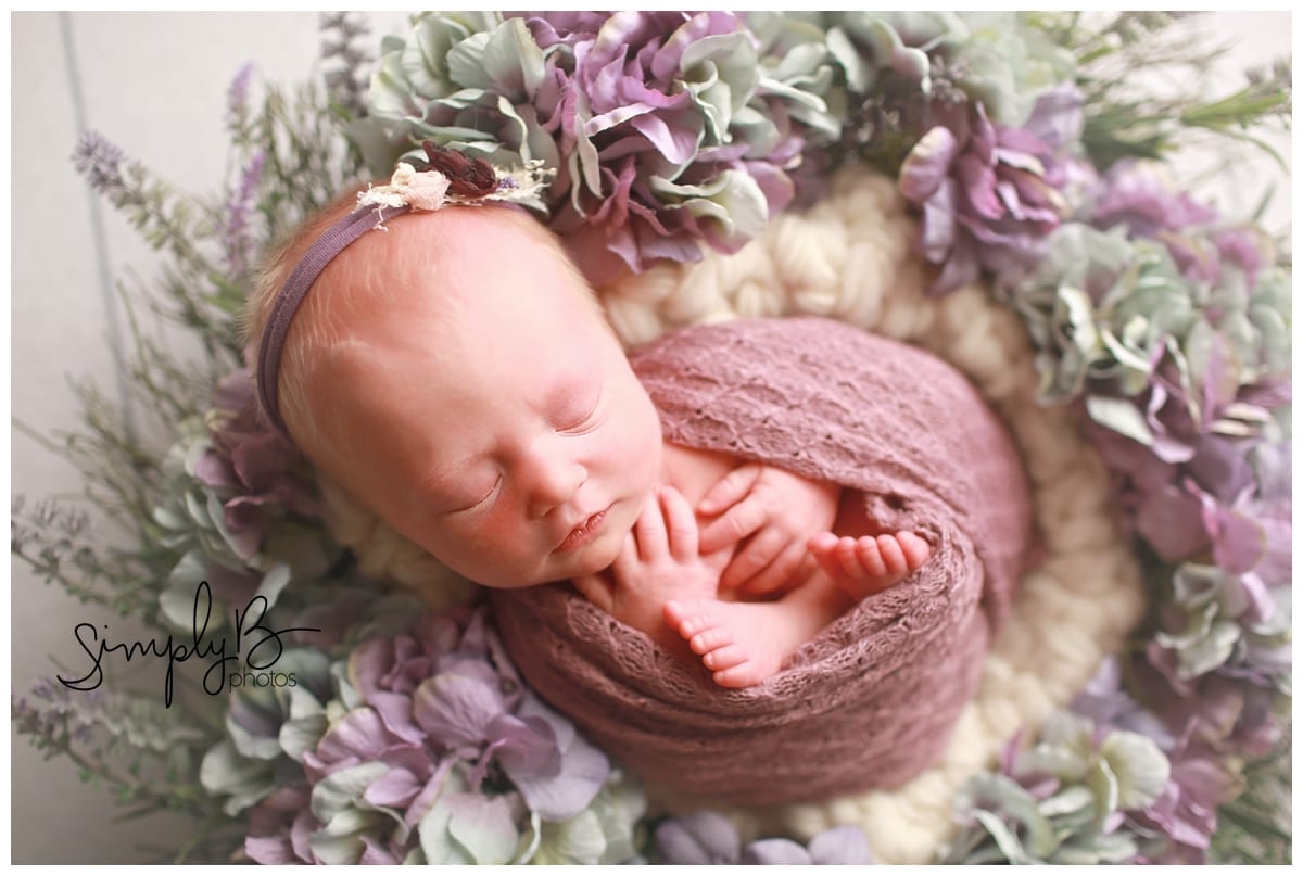 edmonton newborn photographer baby girl floral pink purple