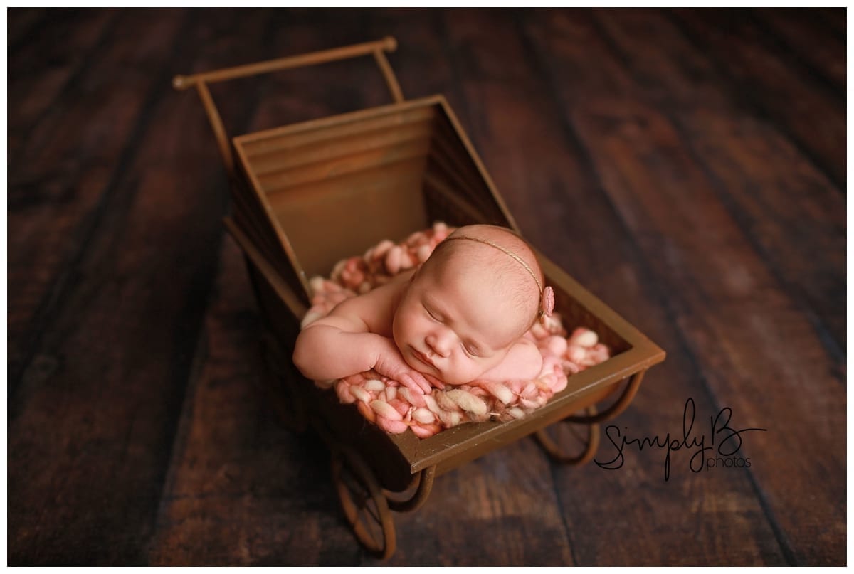 edmonton newborn photography studio baby carriage