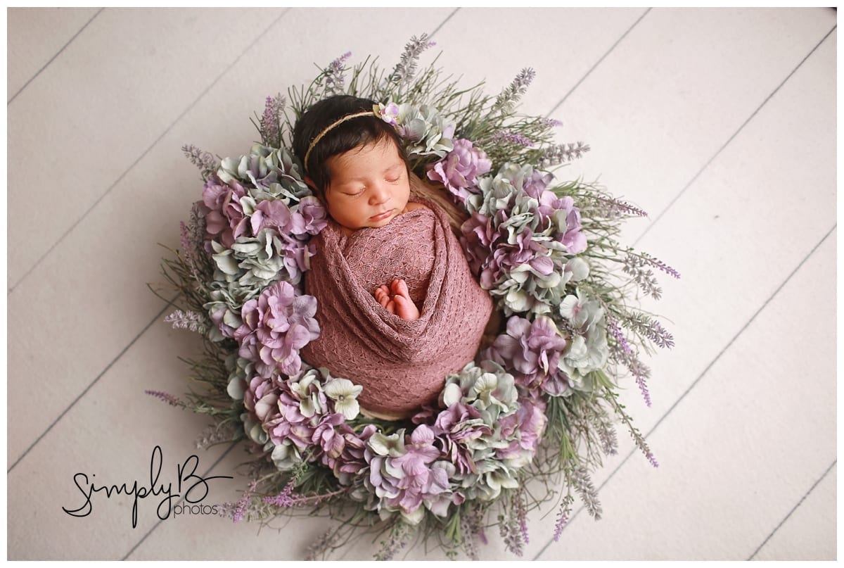 sherwood park newborn photographer studio baby girl