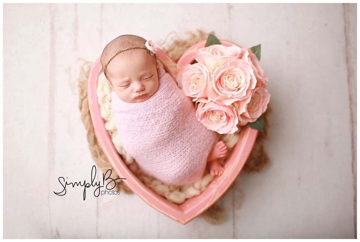 edmonton newborn baby photography studio with siblings