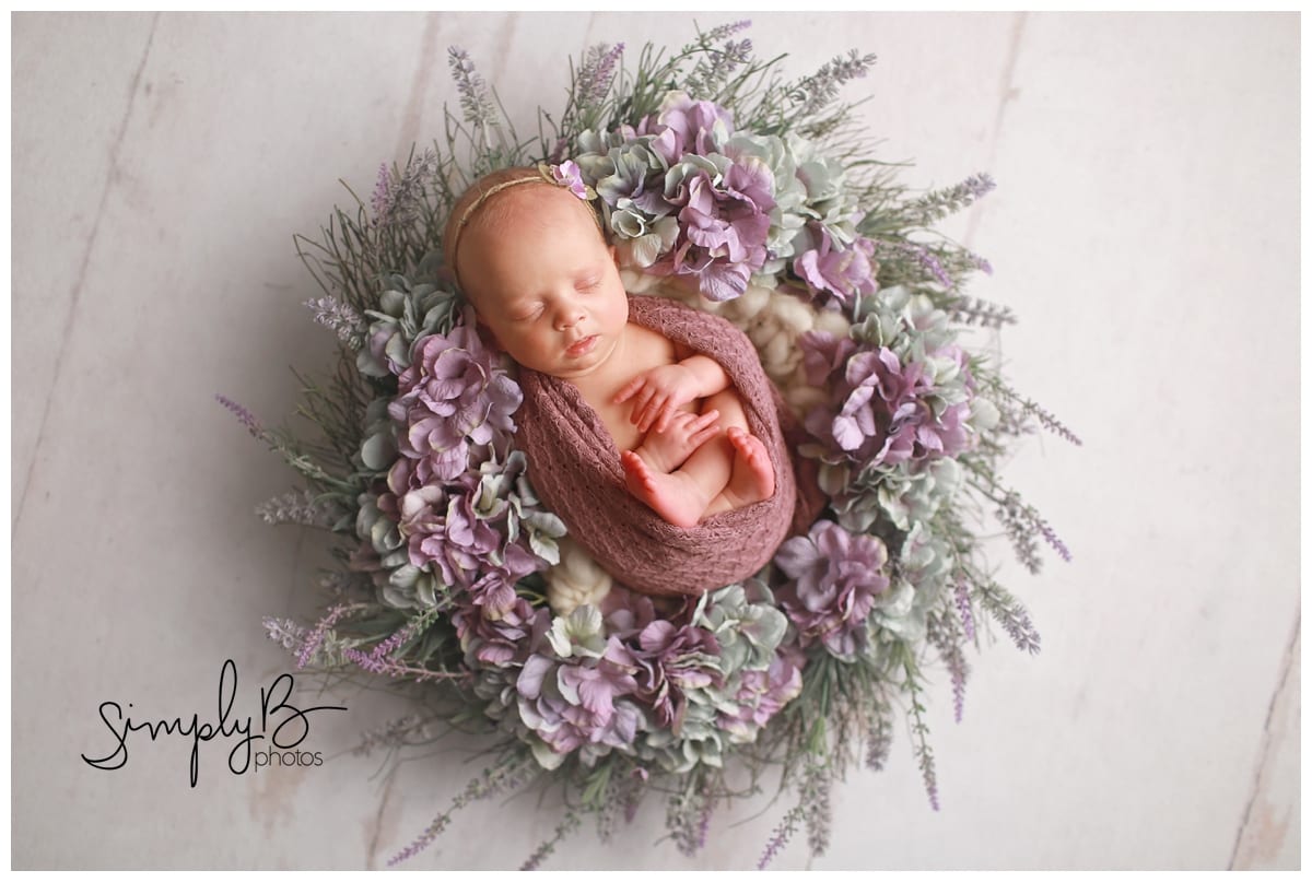 south edmonton newborn photography studio baby girl