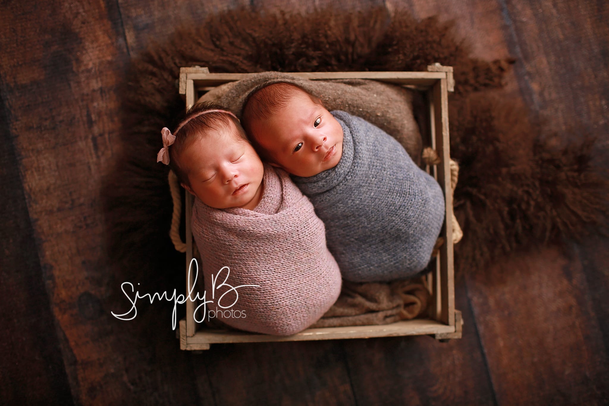Edmonton twin newborn photography studio mini