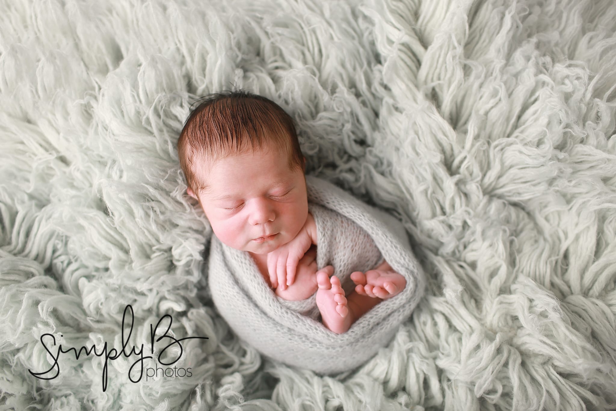 Edmonton newborn mini photographer