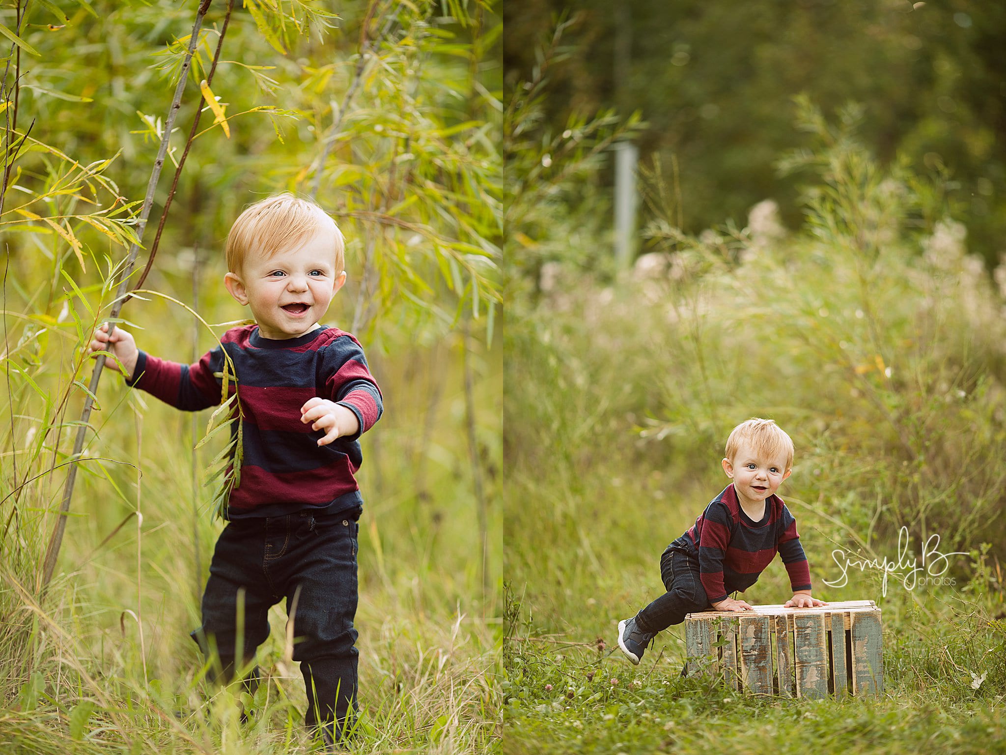 edmonton family photography first birthday