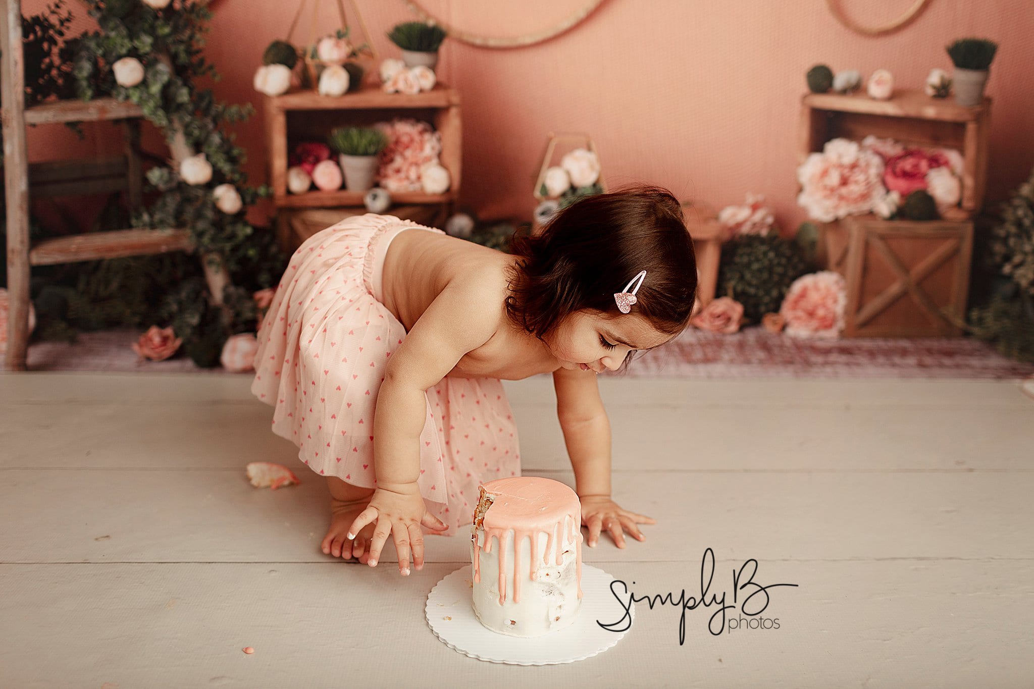 edmonton cake smash photography studio