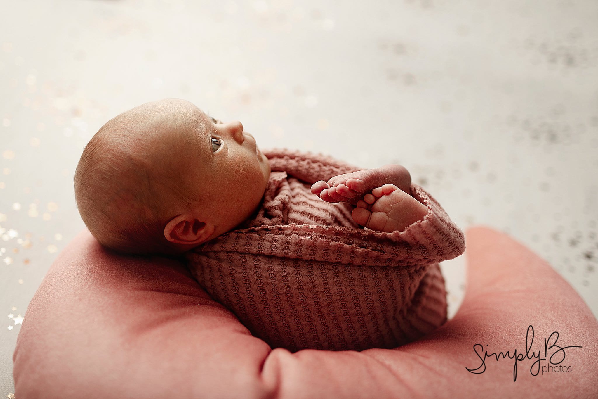 south edmonton newborn photography studio