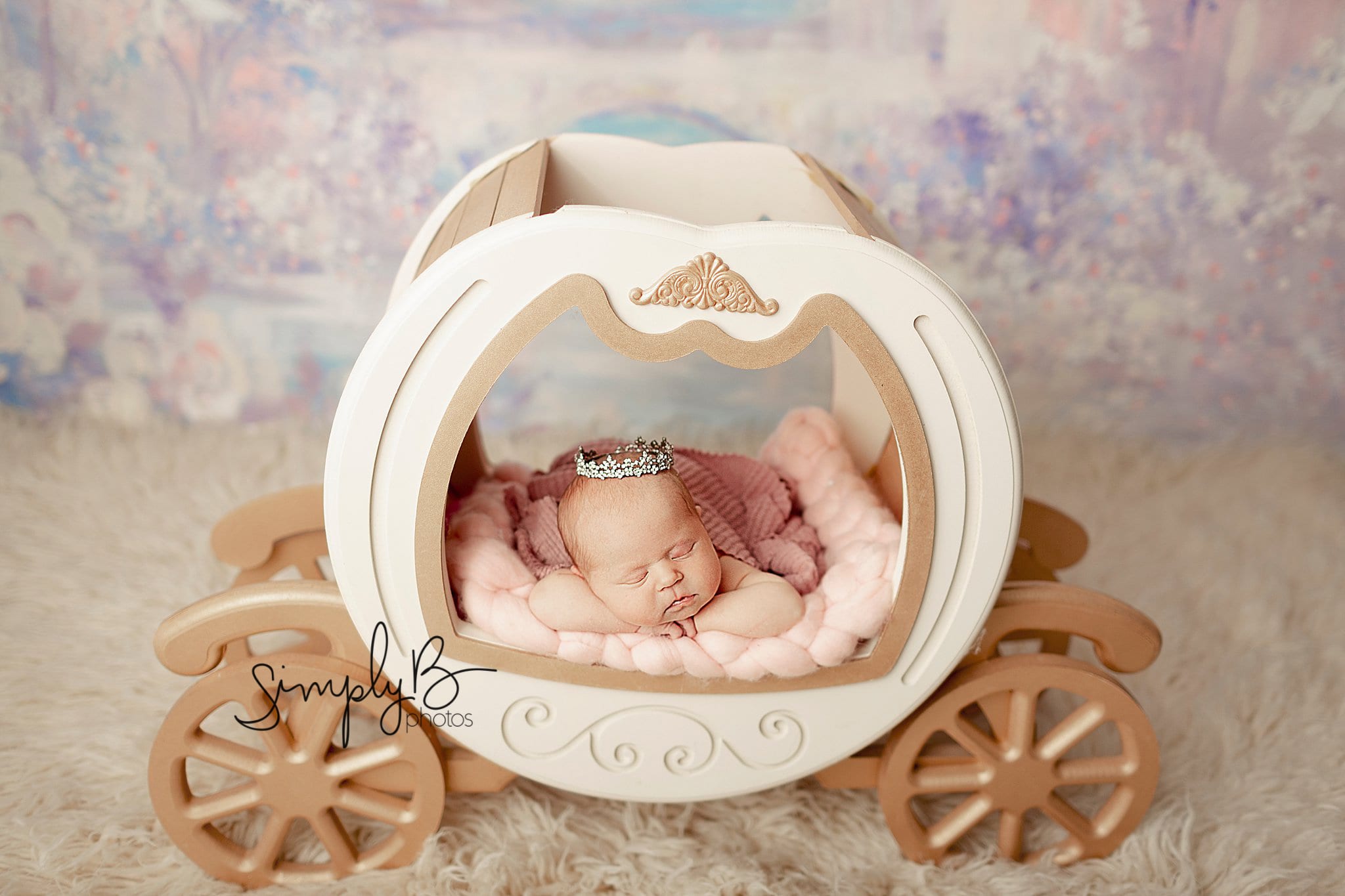 south edmonton newborn photography studio