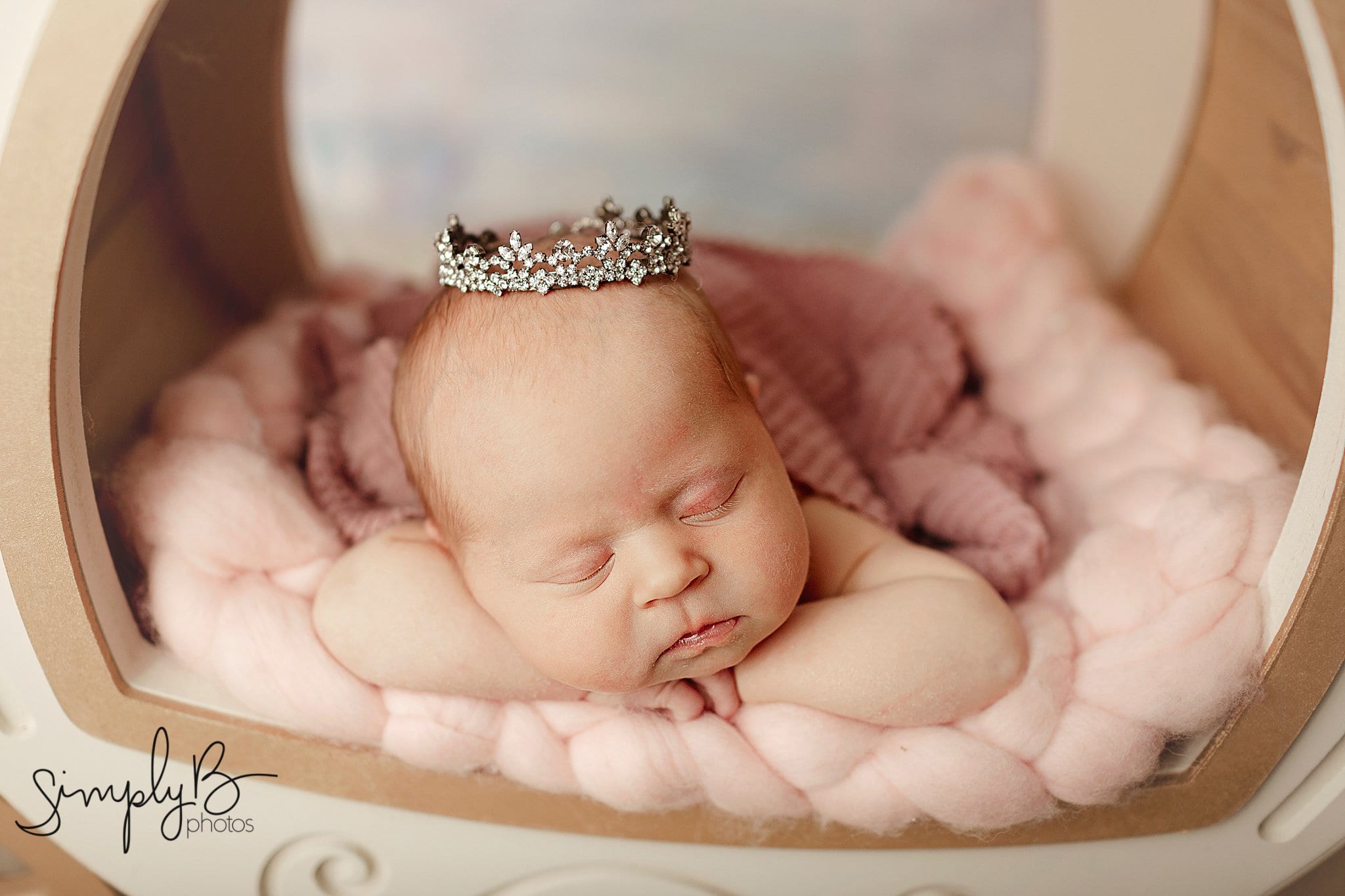 south edmonton newborn photography studio