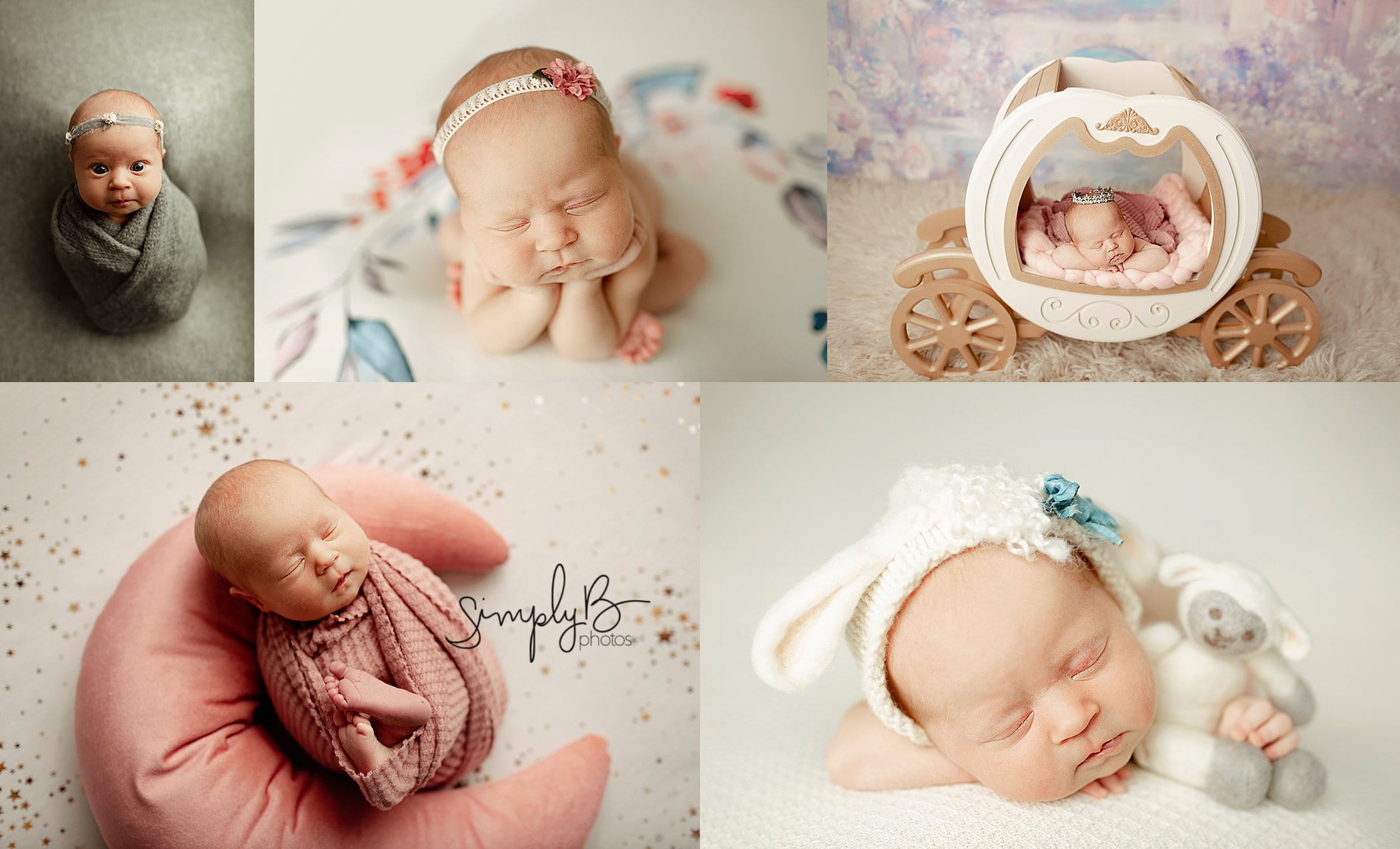 south edmonton newborn photography studio