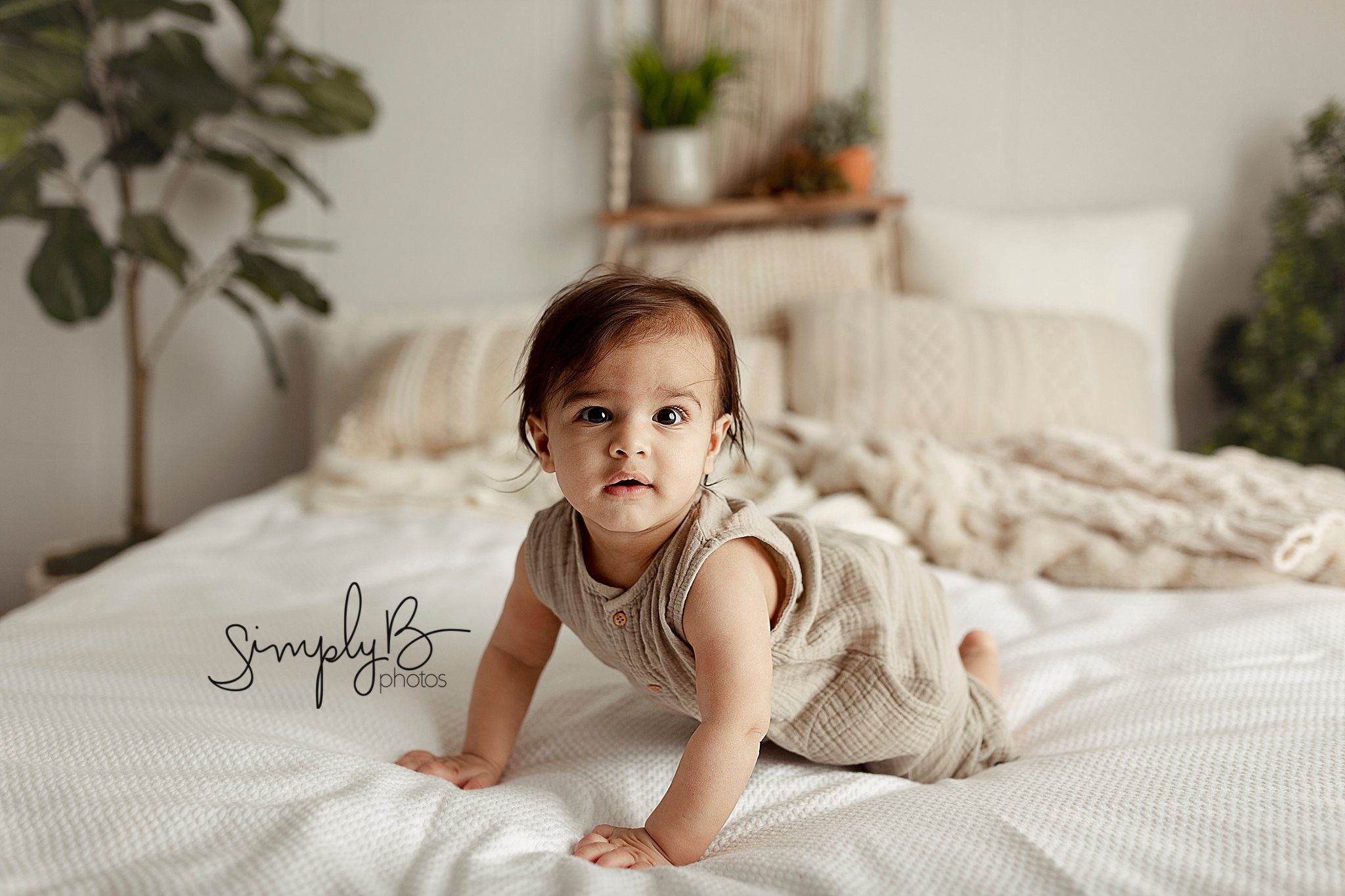edmonton baby photography studio
