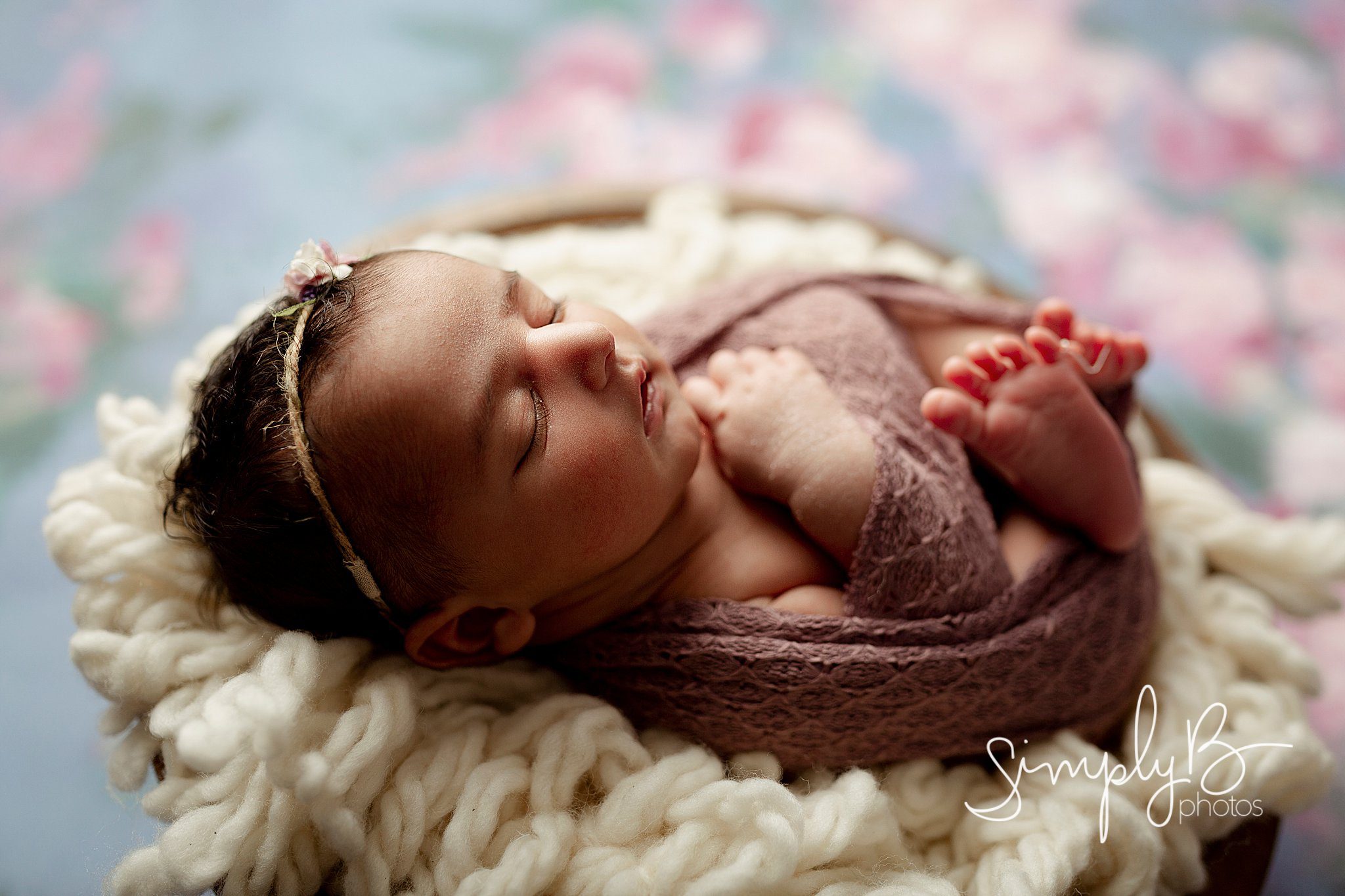 edmoton newborn photographer
