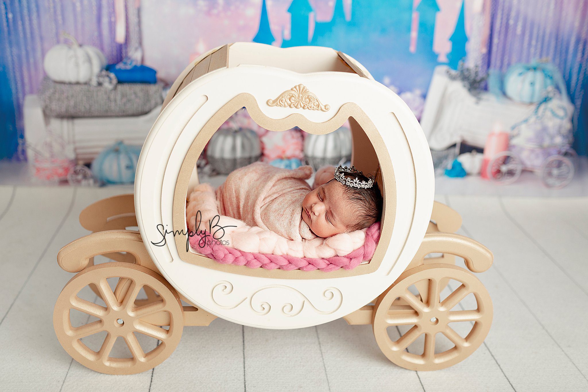 edmoton newborn photographer