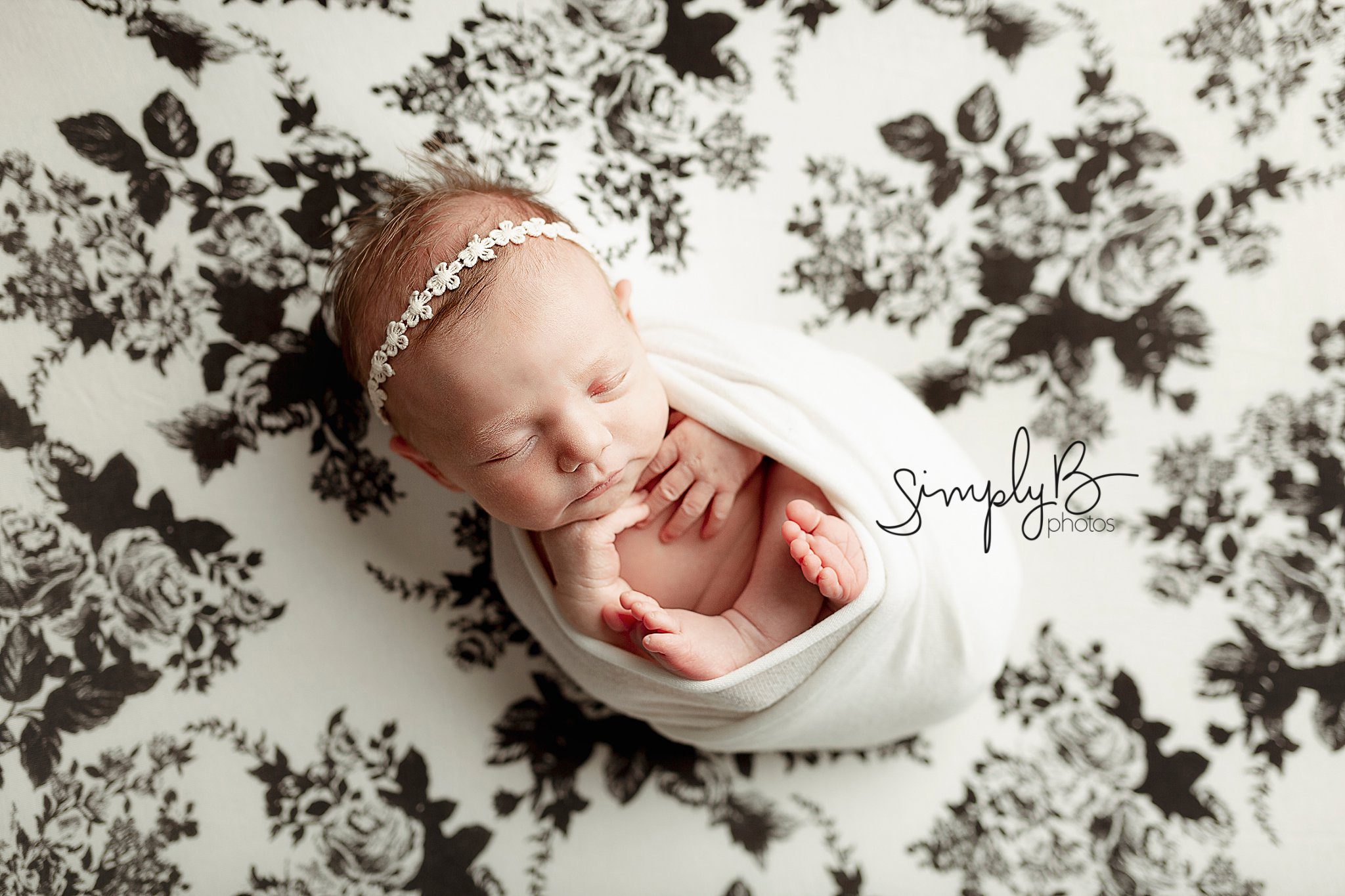 sherwood park newborn photographer