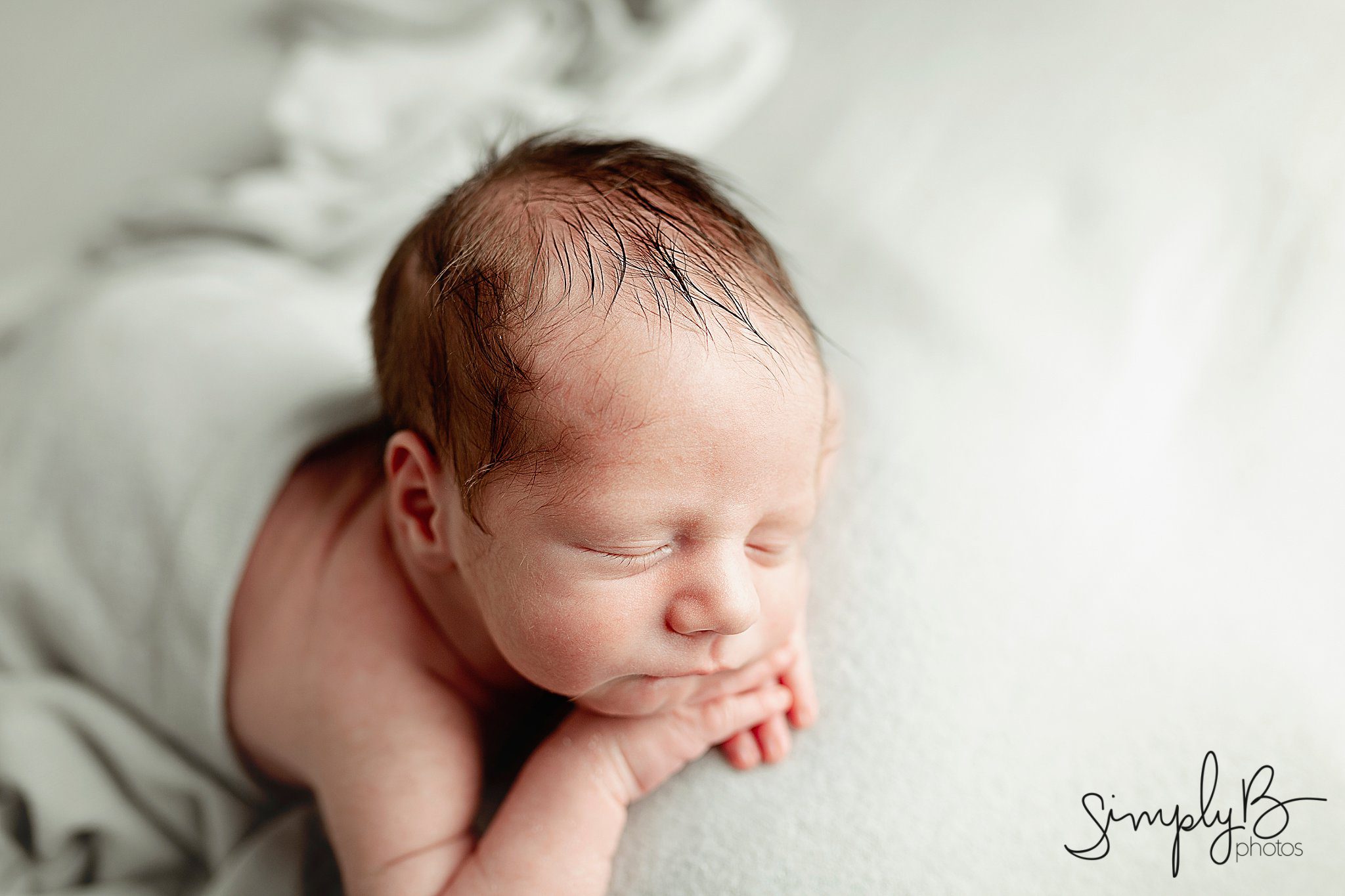 sherwood park newborn photographer
