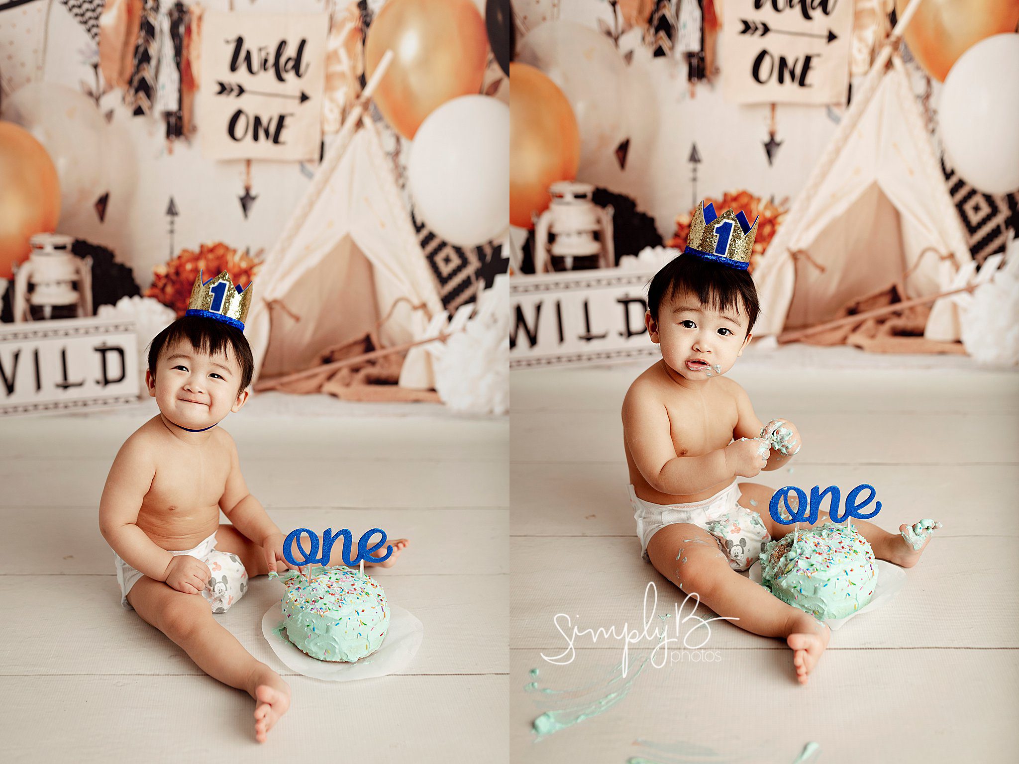 sherwood park cake smash photographer