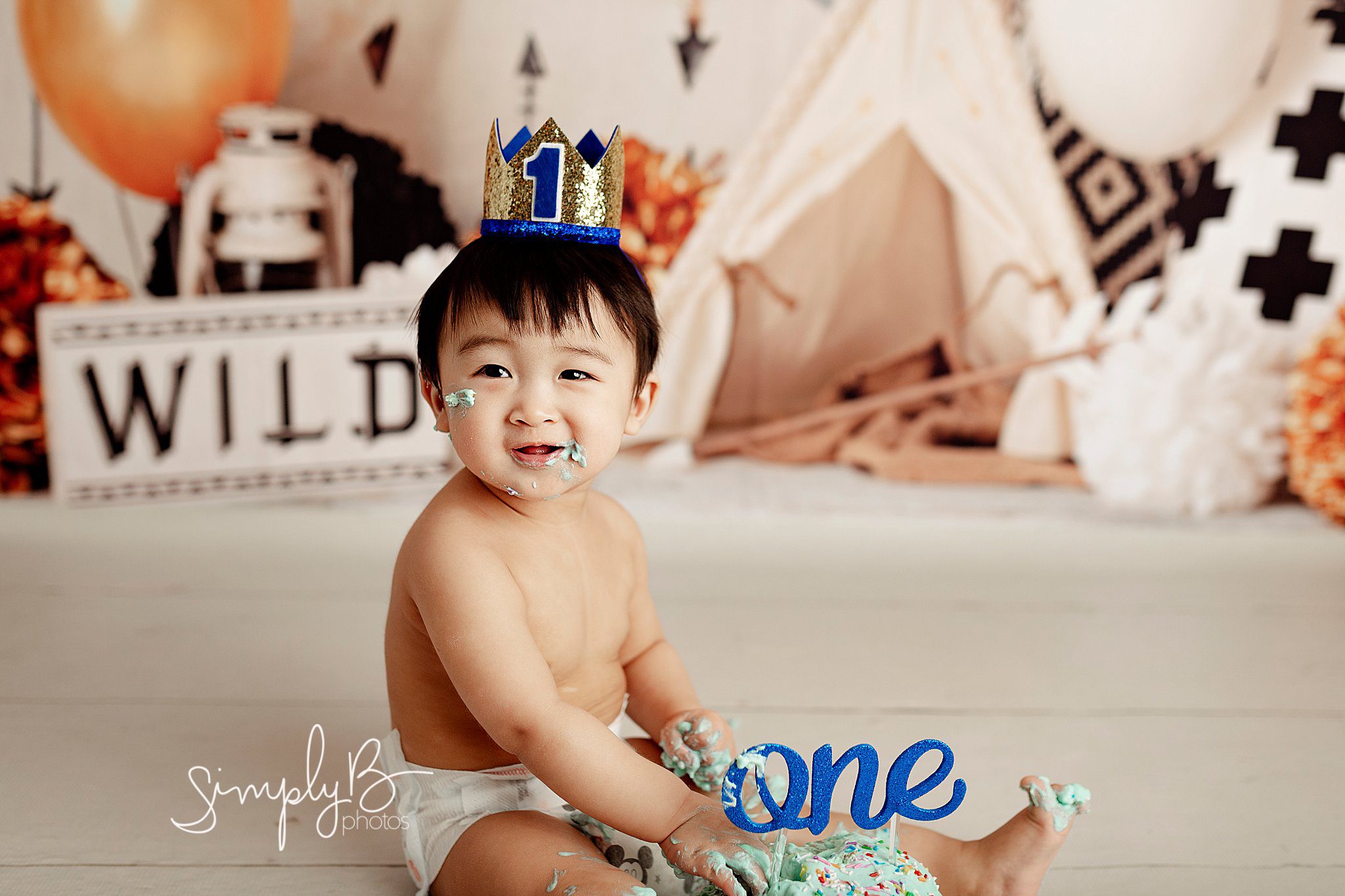 sherwood park cake smash photographer
