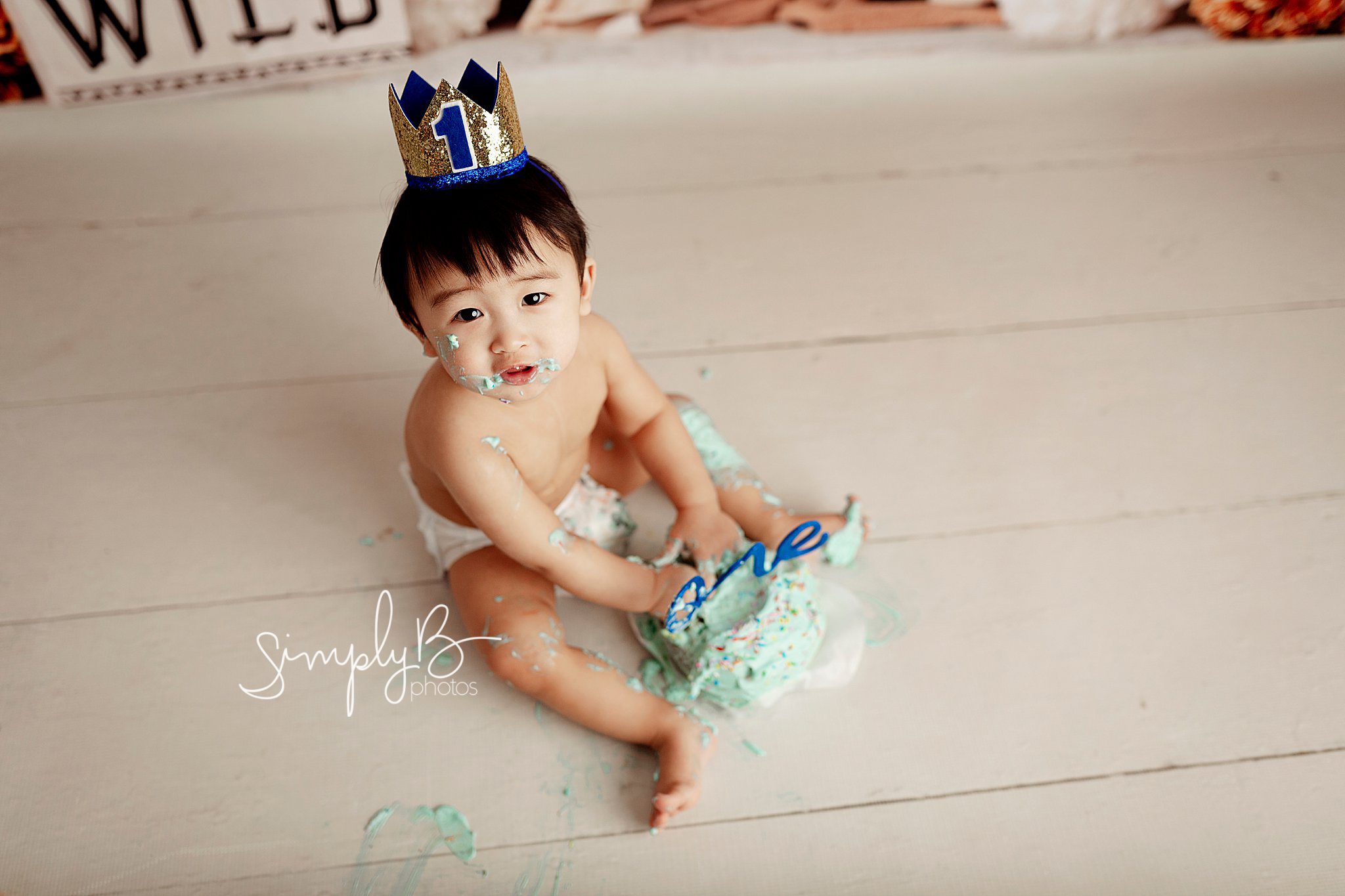 sherwood park cake smash photographer