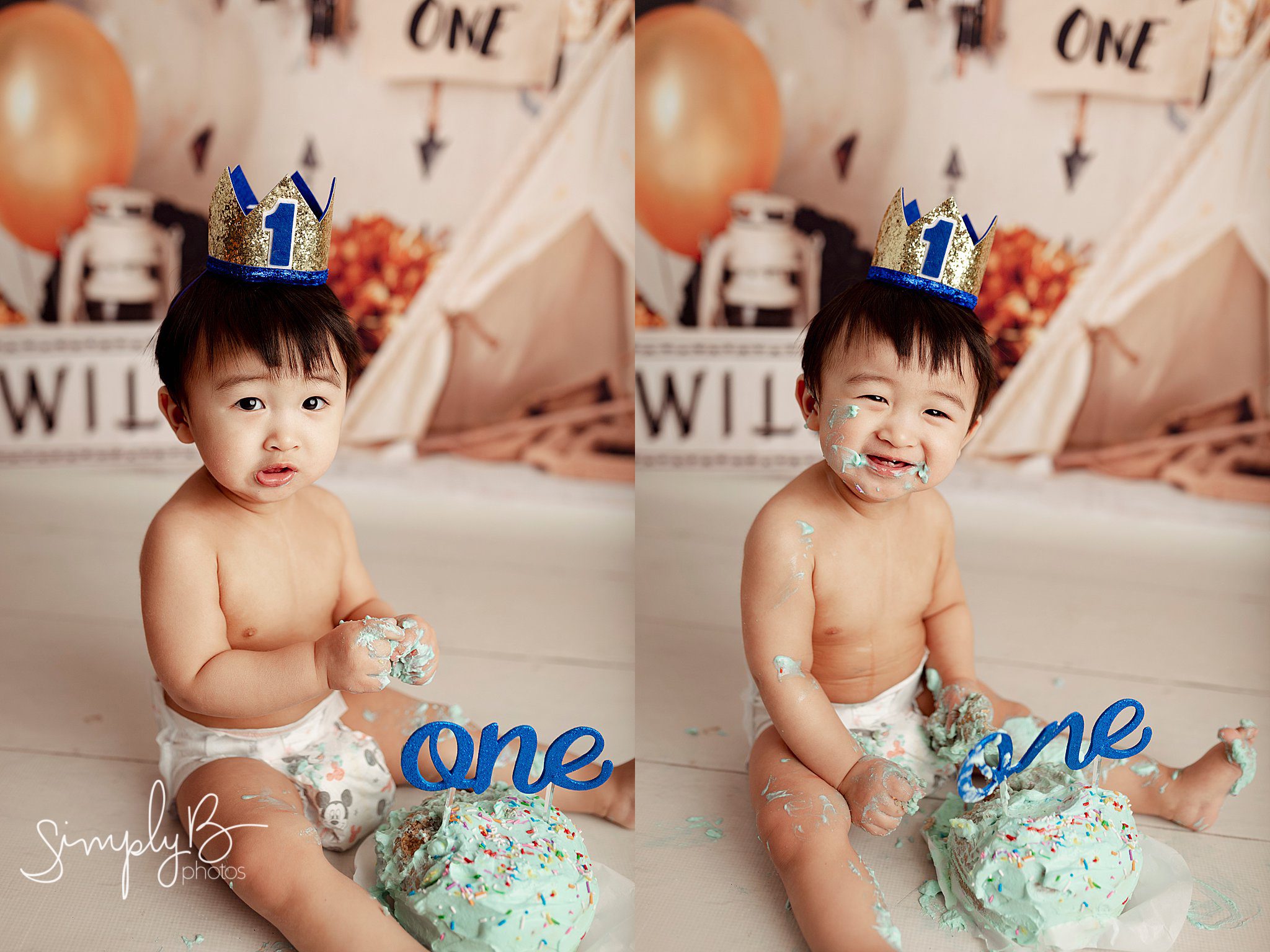 sherwood park cake smash photographer