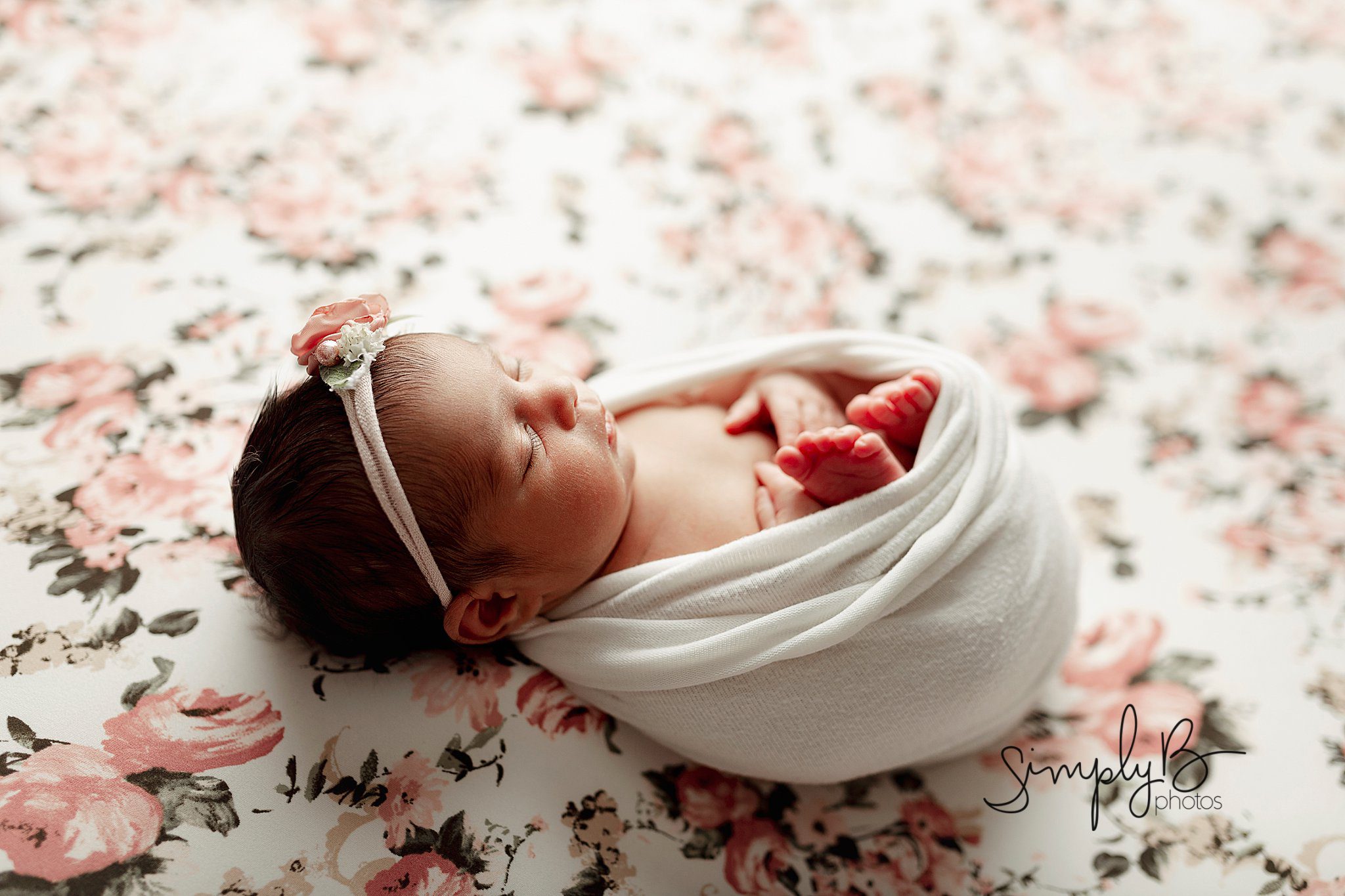 sherwood park newborn baby photographer