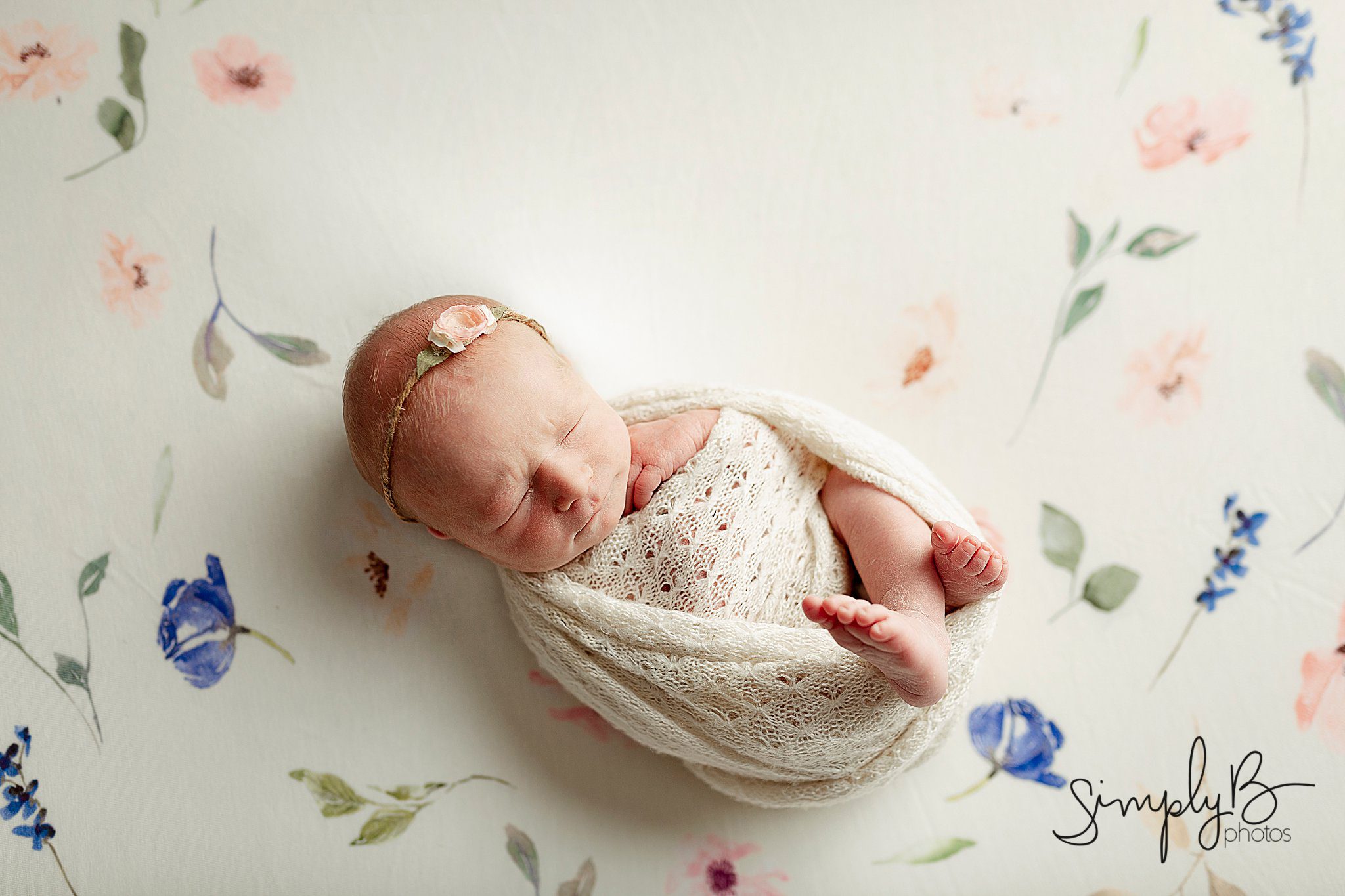 edmonton newborn photographer