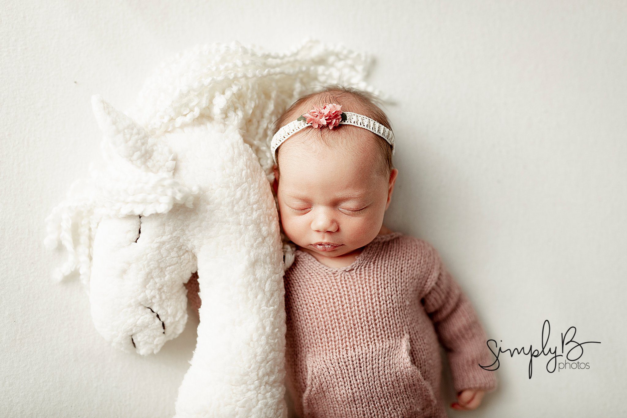 edmonton newborn baby photographer