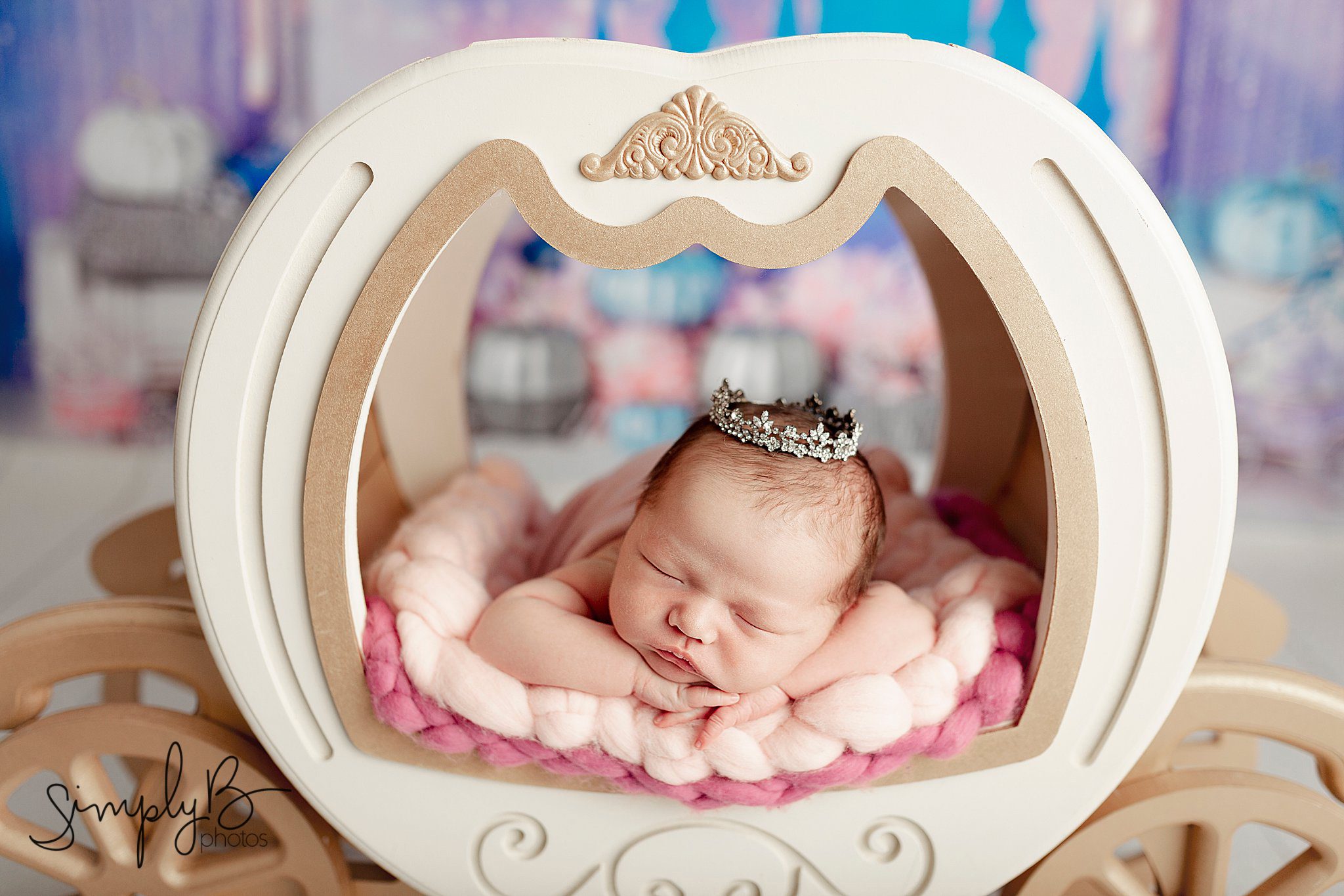 sherwood park newborn photographer