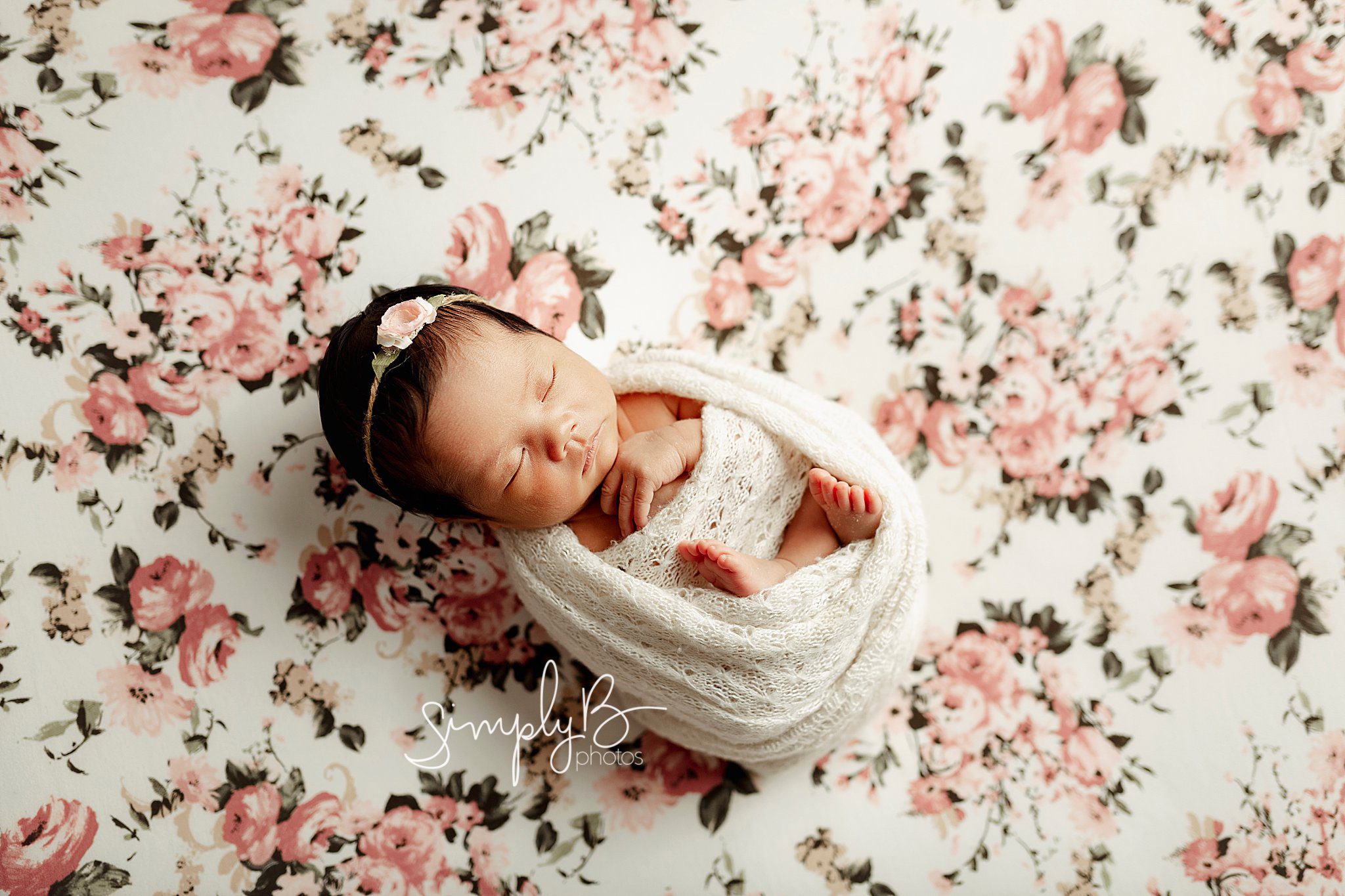 edmonton newborn photography studio