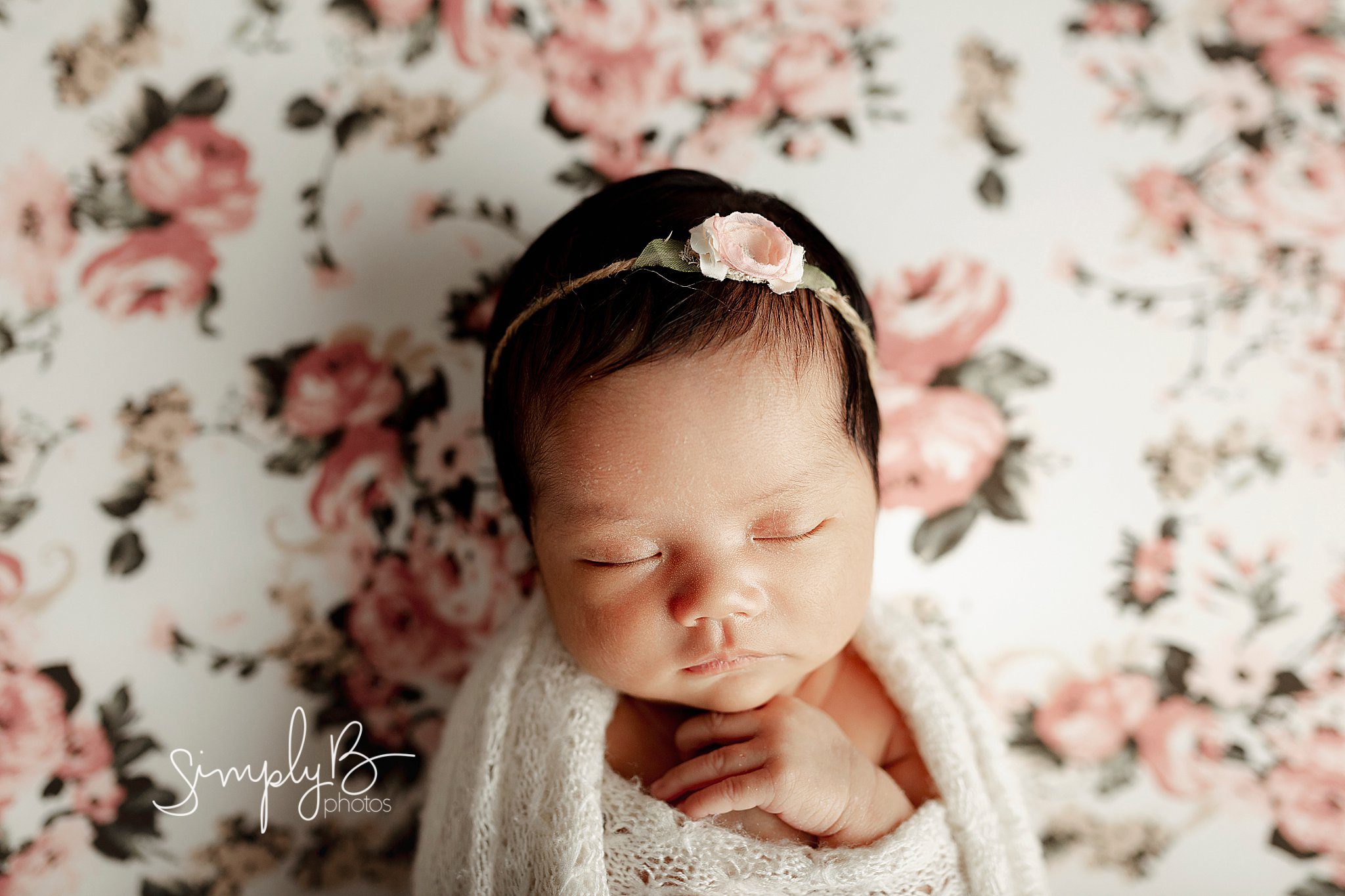 edmonton newborn photography studio