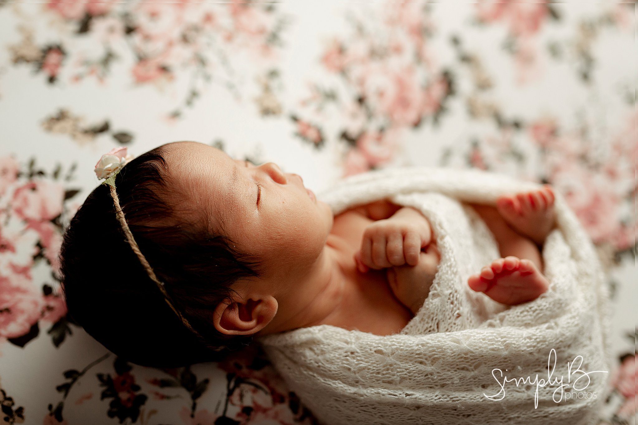 edmonton newborn photography studio
