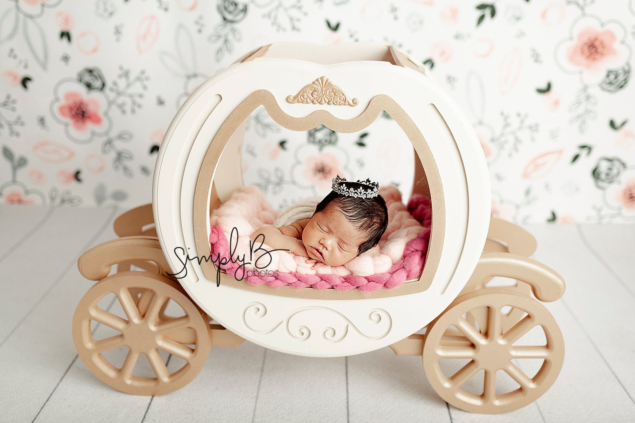 edmonton newborn photography studio