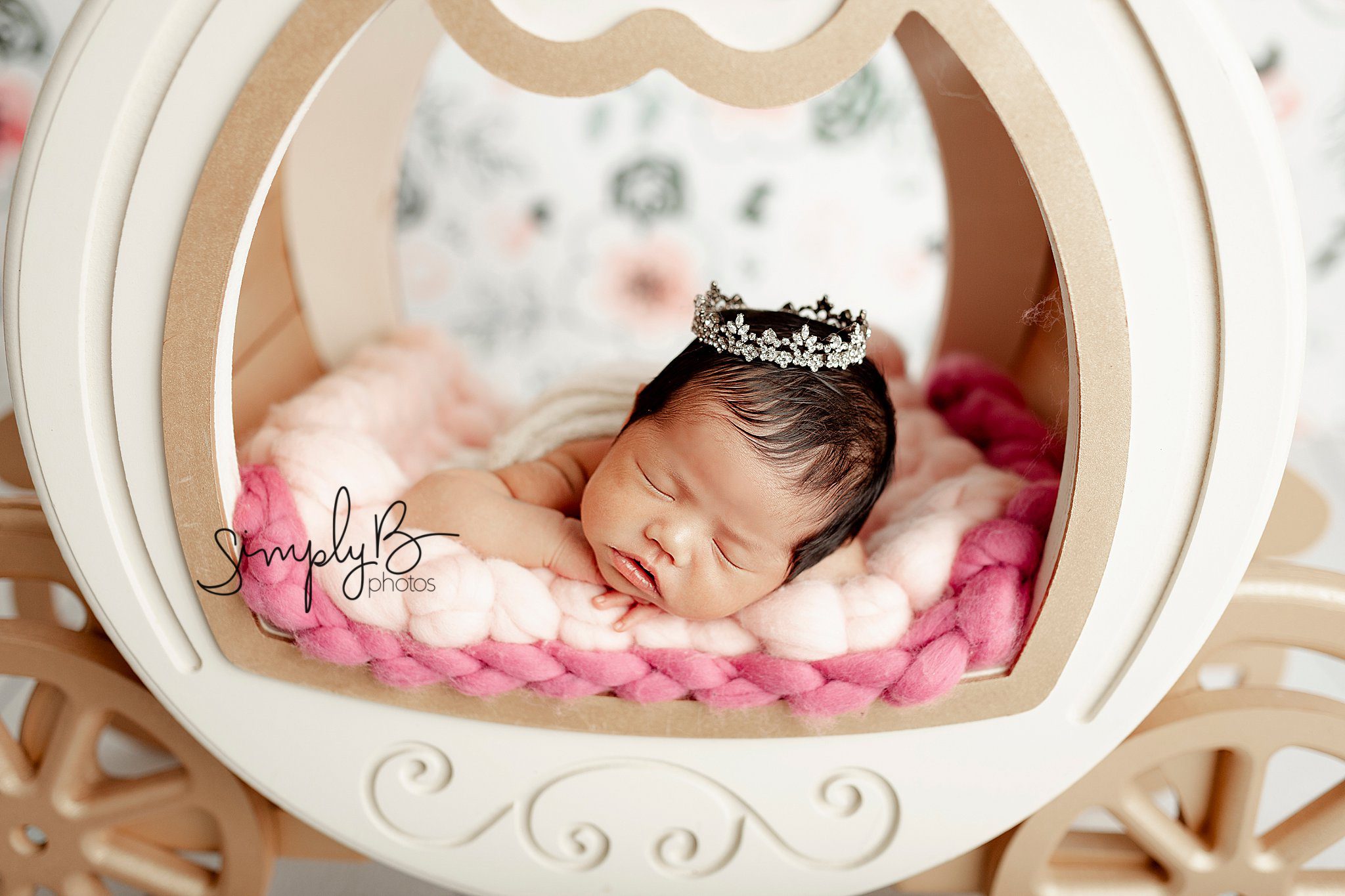 edmonton newborn photography studio