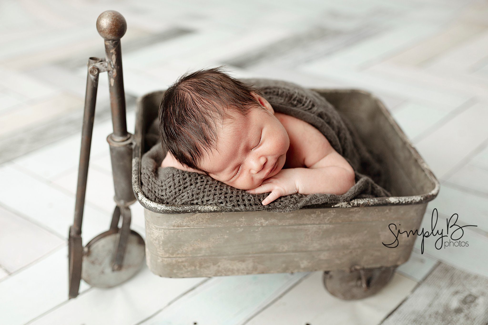 Edmonton Newborn Photographer